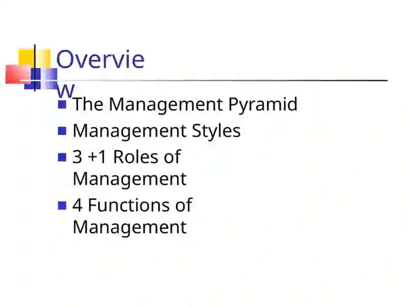 Managers&Executives and directors 2