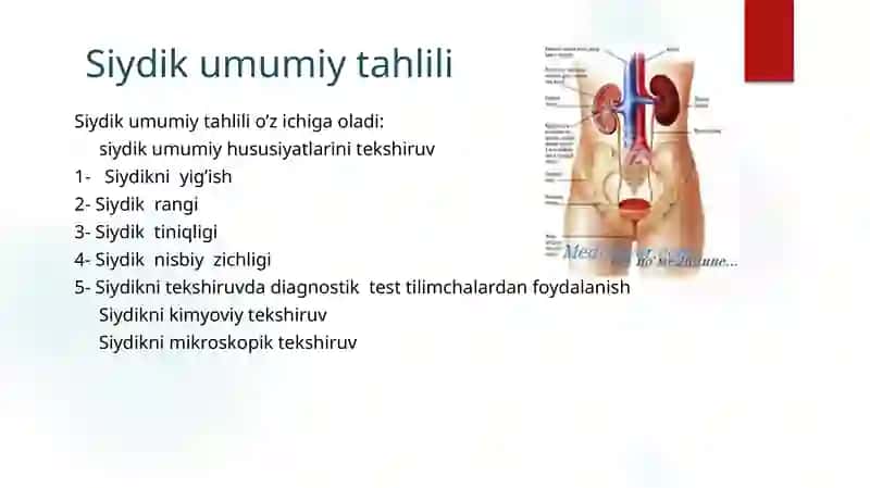 Buyrak peshob ajratish tizimi kasalliklarda so'rab surishtirish. Ko'zdan kechirish fizikal va laborator-instrumental tekshiruv usullari 2