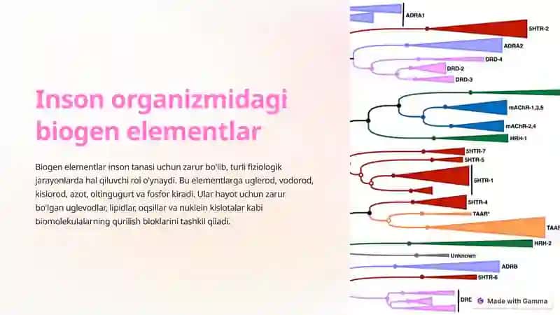 Biogenelementlar 2