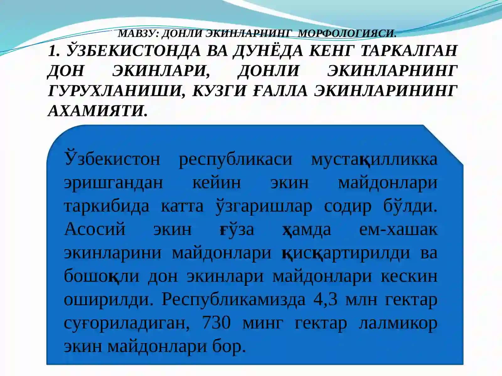 ДОНЛИ ЭКИНЛАРНИНГ МОРФОЛОГИЯСИ 2