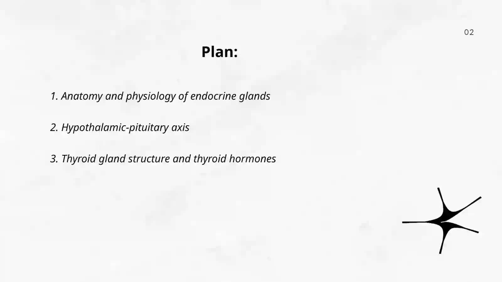 Endocrin system 2