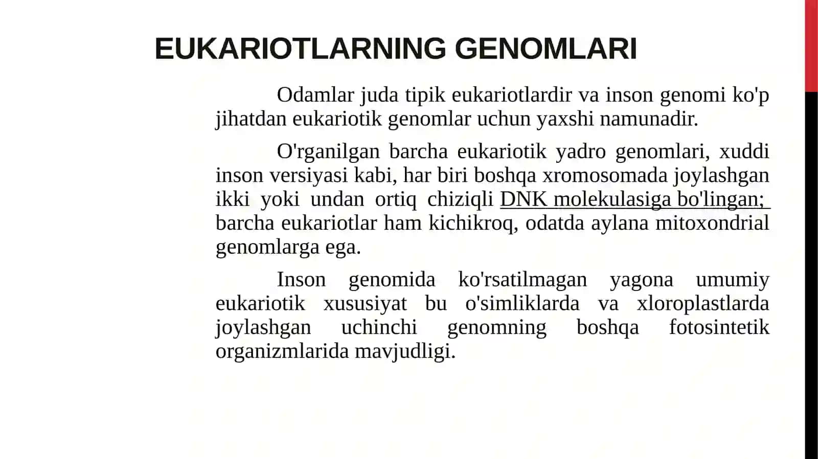 Eukariotlar va prokariotlargenomi strukturasi 2