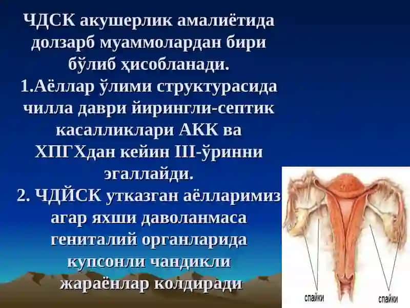 Чилла даври инфекциялари 2