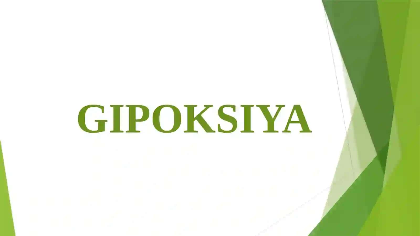 GIPOKSIYA 2