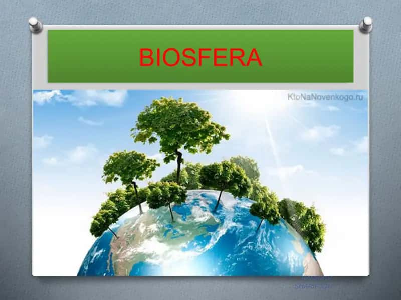 BIOSFERA CHEGARALARI 2