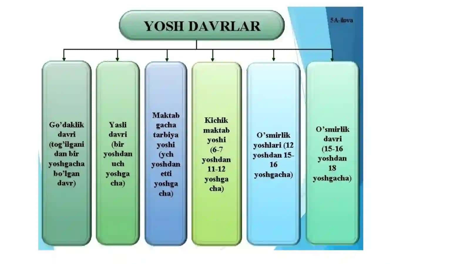 Go‘daklik davri da muloqot va nutqning rivojlanishi 2