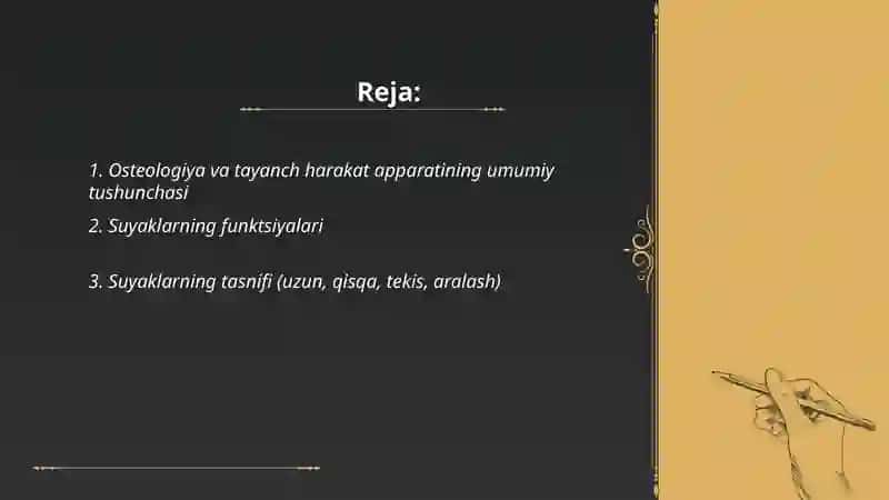 Ostealogiya tayanch harakat aparati toʻgʻrisida maʼlumot 2