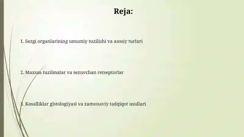 Sezgi organlarining gistologiyasi 2