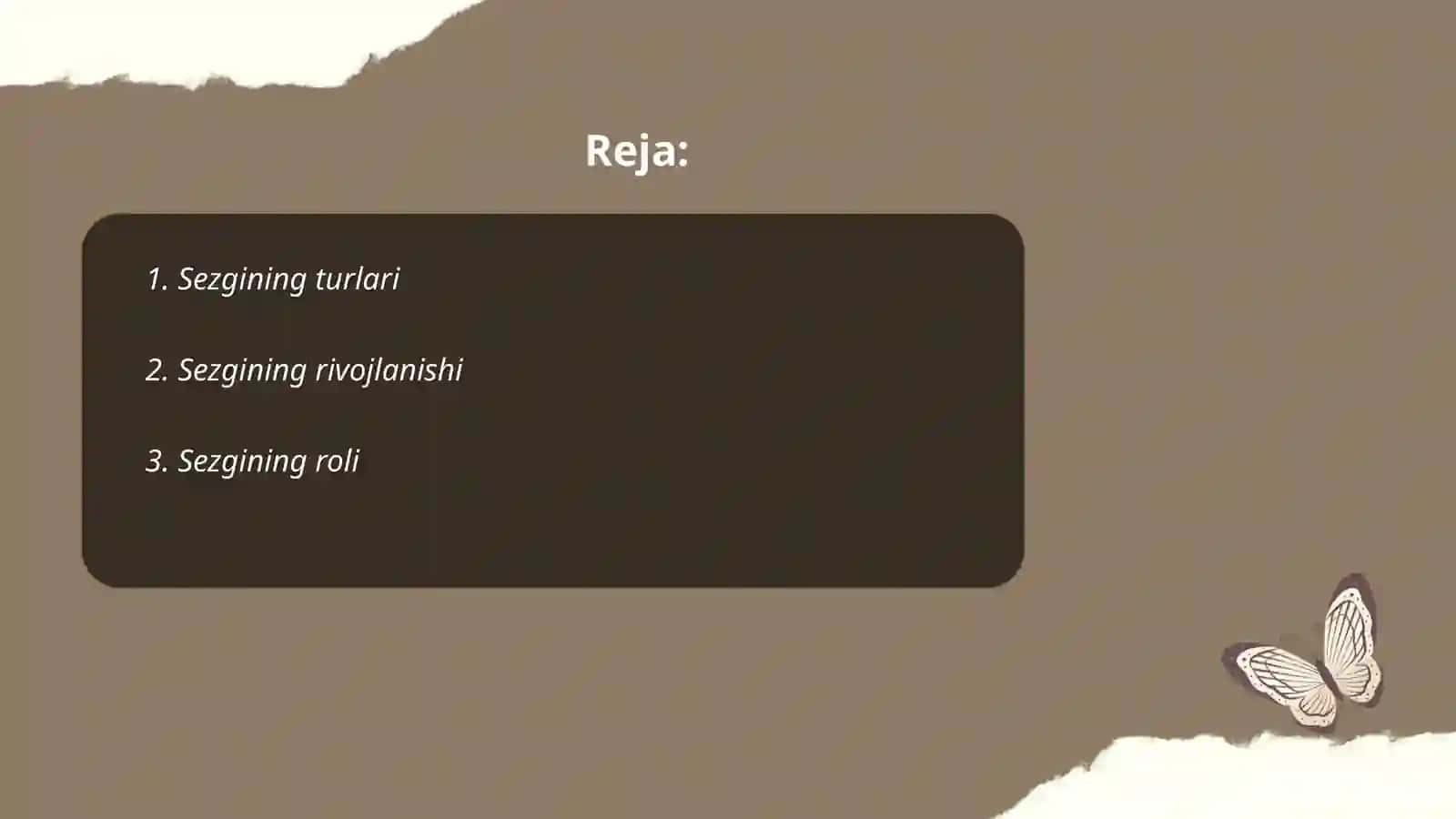 Sezgi 2