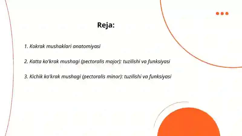 Kokrak mushaklari 2