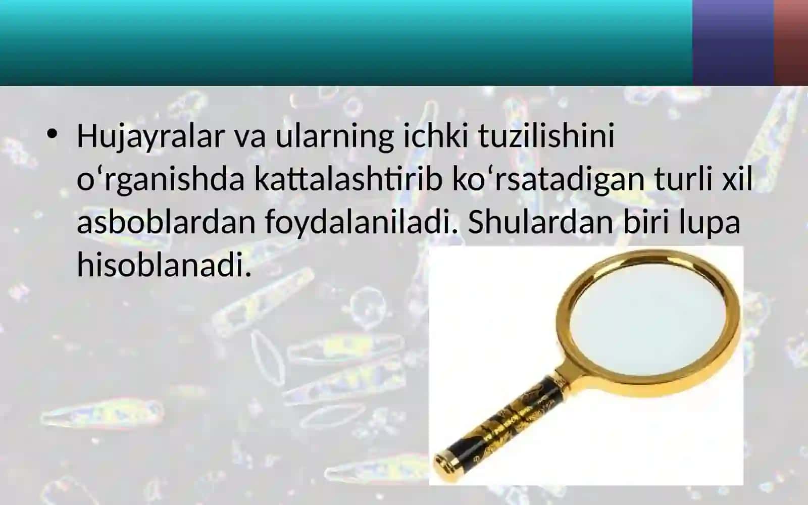 5-sinf Botanika dars ishlanma. Lupa va mikroskop tuzilishi bilan tanishish 2