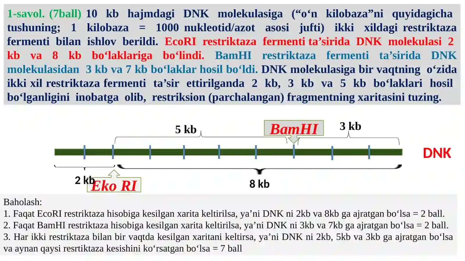 Biologiya olimpiada savollari yechimi 2