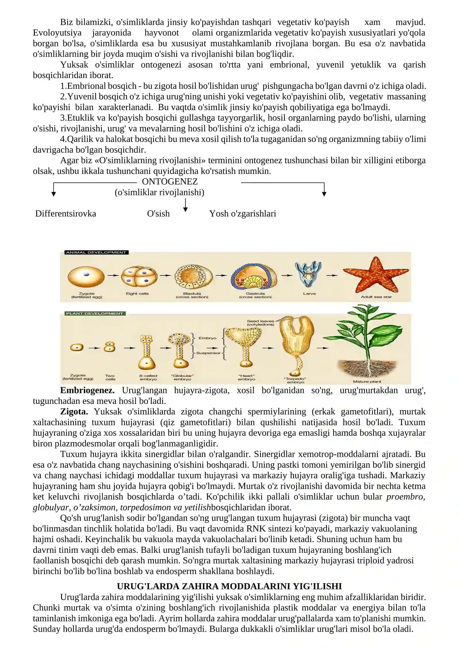 O'simliklarning rivojlanishi 2