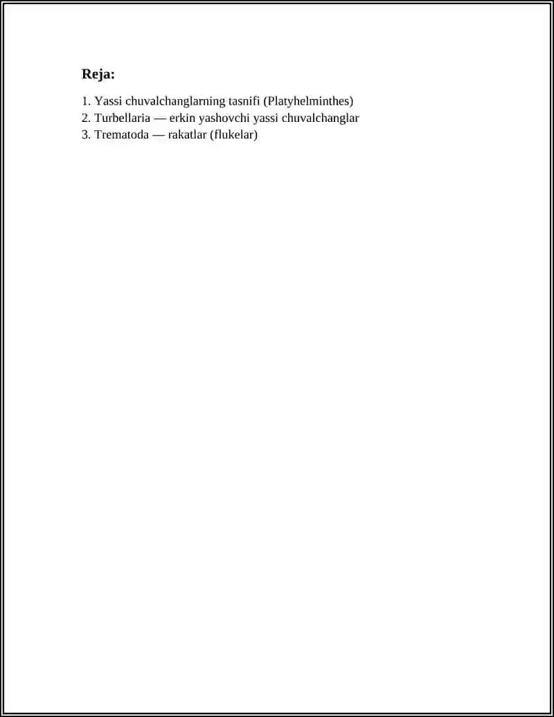 YASSI CHUVALCHANGLAR TIPI 2