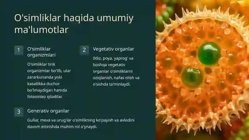 O'simliklar dunyosi va ularni hayot tarzi haqidagi bilimlarini bilib olish va tahlil qilish 2