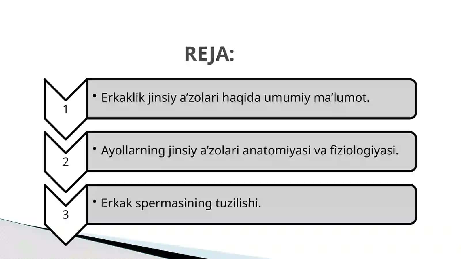 JINSIY A’ZOLARNING TUZILISHI VA VAZIFASI 2