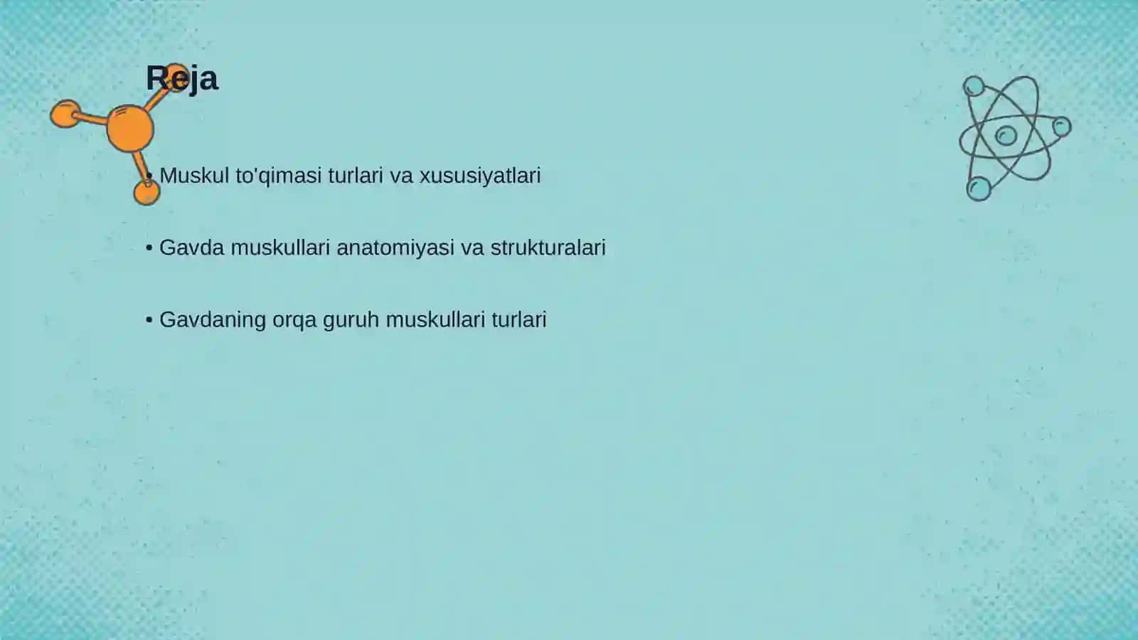 Muskul to'qimasi Gavda muskullari gavdaning orqa guruh muskullari 2