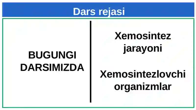 Xemosintez 2