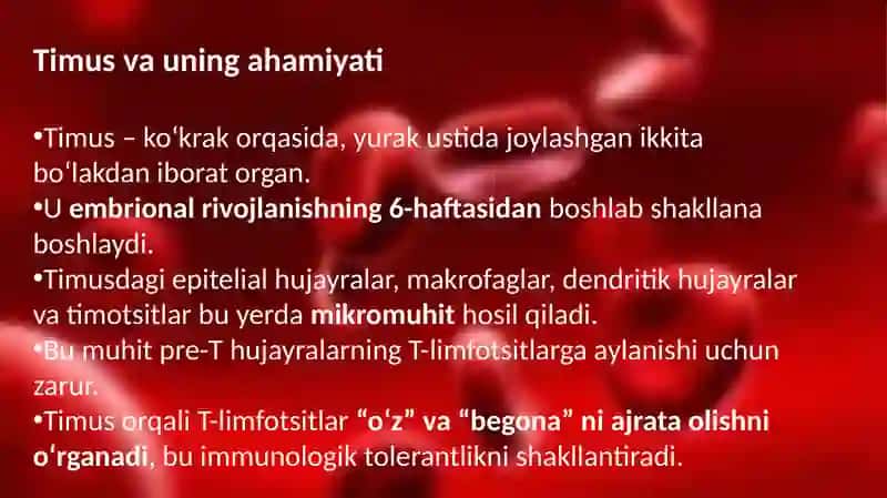 Timusdagi T-limfositlarning yetilishi jarayoni 2