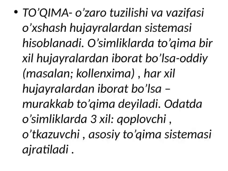 Ajratuvchi jamgaruvchi to'qima 2