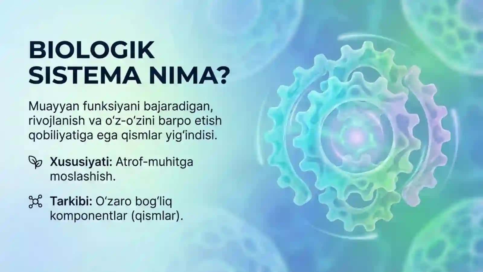 Hayotning tuzulish darajalarini modellashtirish 2