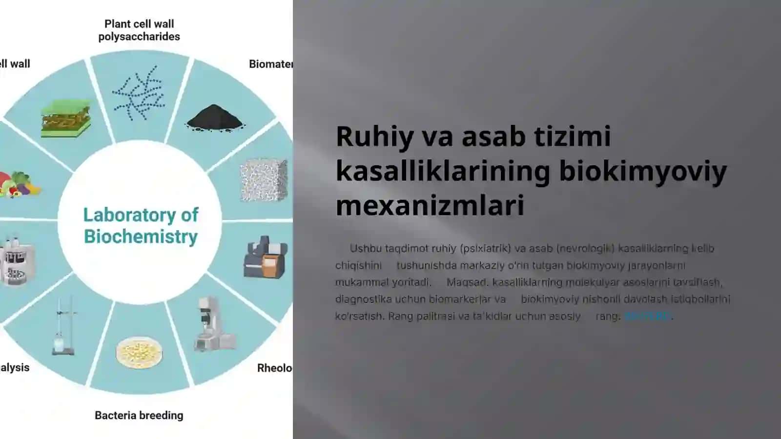Ruhiy va asab tizimi kasalliklarining biokimyoviy mexanizmlari 2