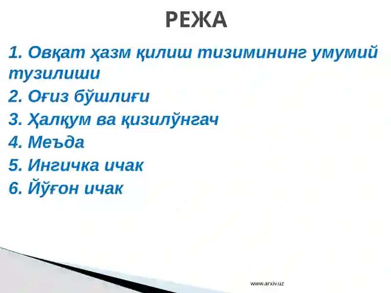 Овқат ҳазм қилиш аъзоларининг тузилиши, вазифалари ва аҳамияти 2
