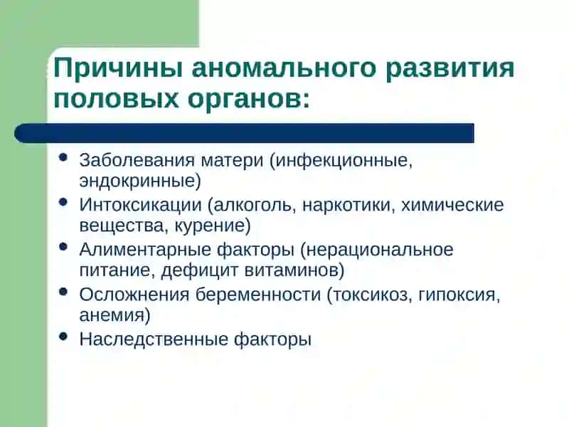 АНОМАЛИИ РАЗВИТИЯ И ПОЛОЖЕНИЯ ЖЕНСКИХ ПОЛОВЫХ ОРГАНОВ 2