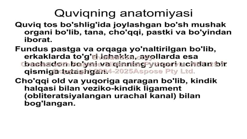 Quviq kasalliklarini ultratovush diagnostikasi 2