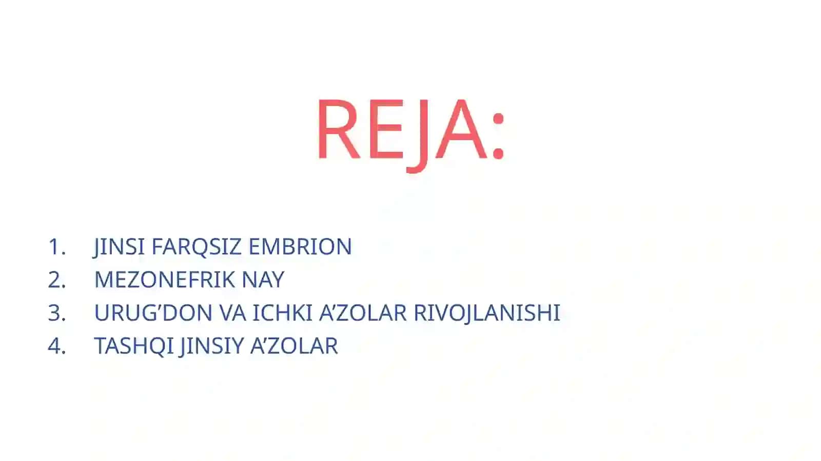 MEZONEFRIK NAY 2