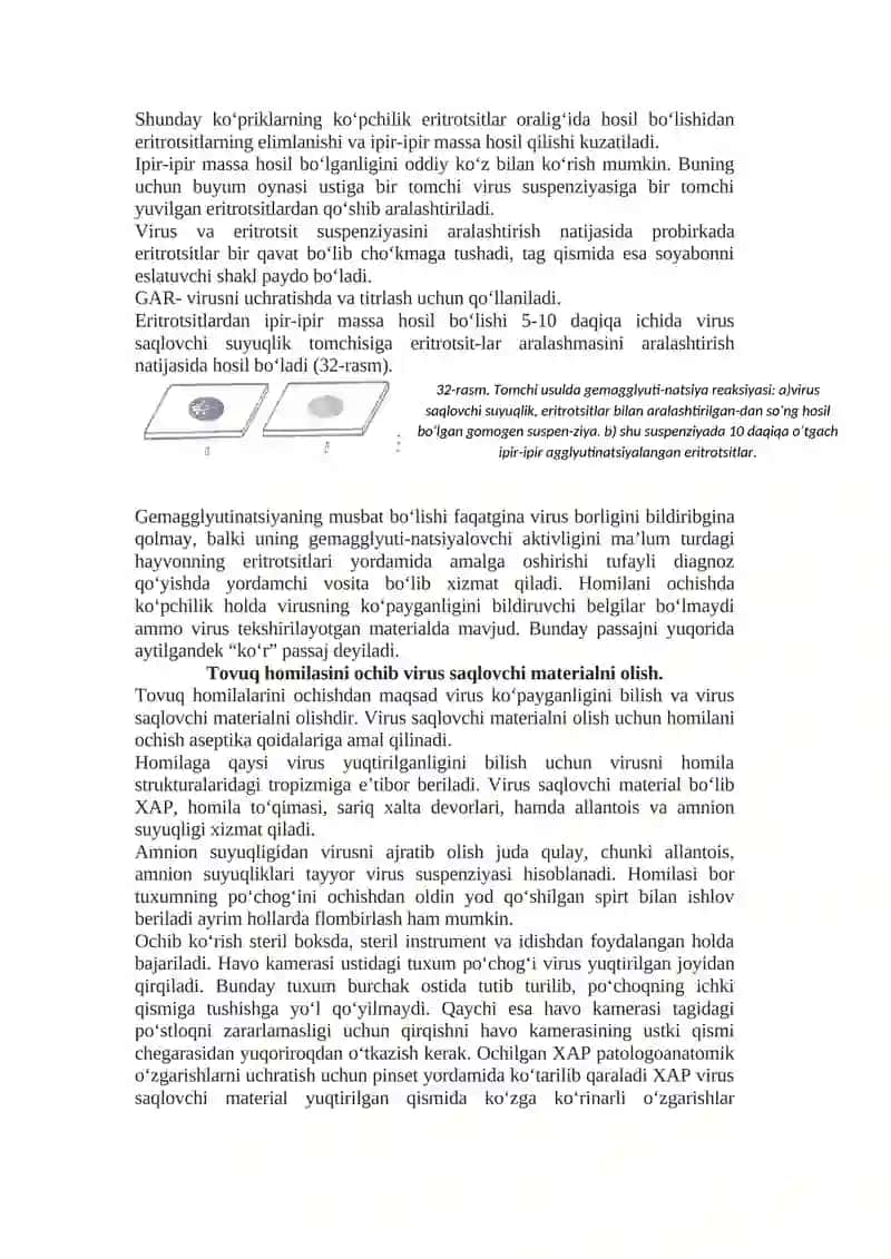 Tovuq homilasida virusni ko‘payganlik belgilari virus saqlovchi materialni olish 2