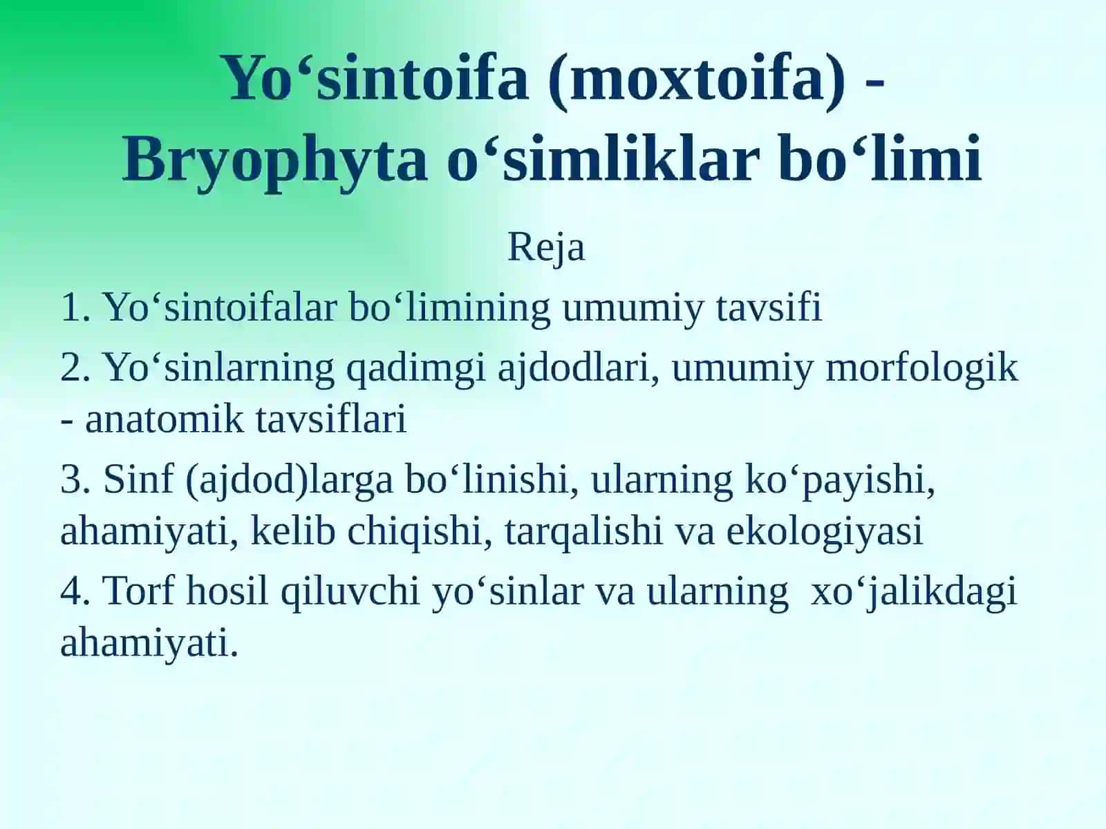 Yo‘sintoifa(moxtoifa) - Bryophytao‘simliklarbo‘limi 2