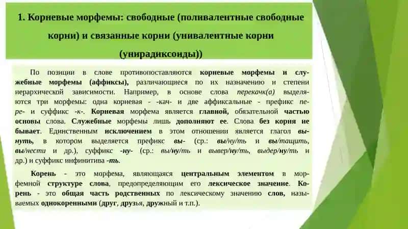 Особенности морфем и их вариантов в организации слова 2