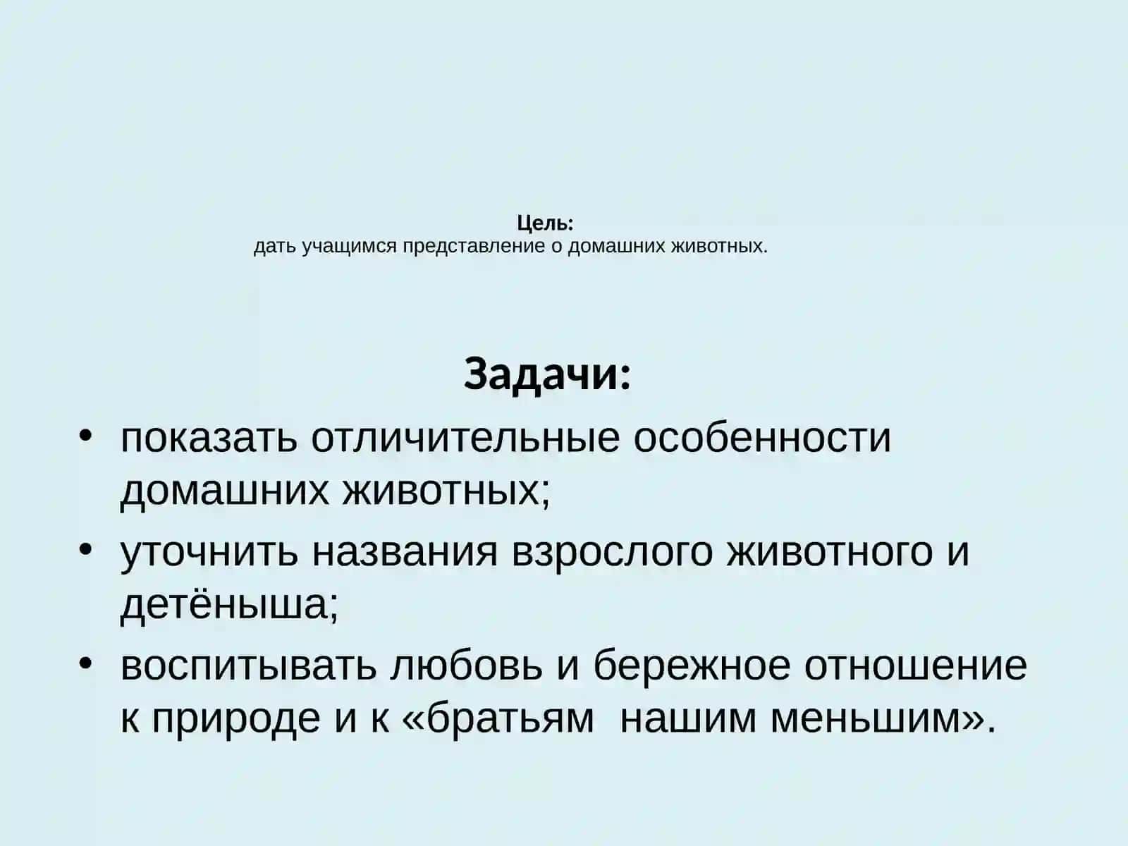 домашние животные 2