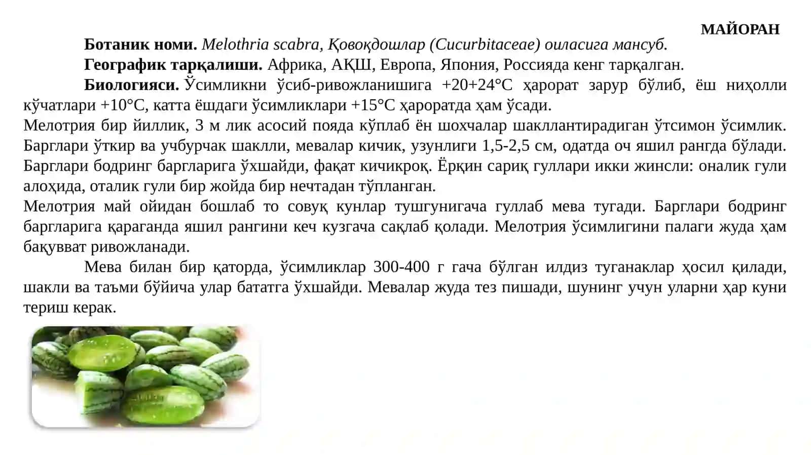 МАЙОРАН,МАНГОЛЬД,МАНЗАРАЛИКАРАМ,МЕЛОТРИЯўсимликларниетиштириш тартиби ва дориворлик хусусиятлари 2
