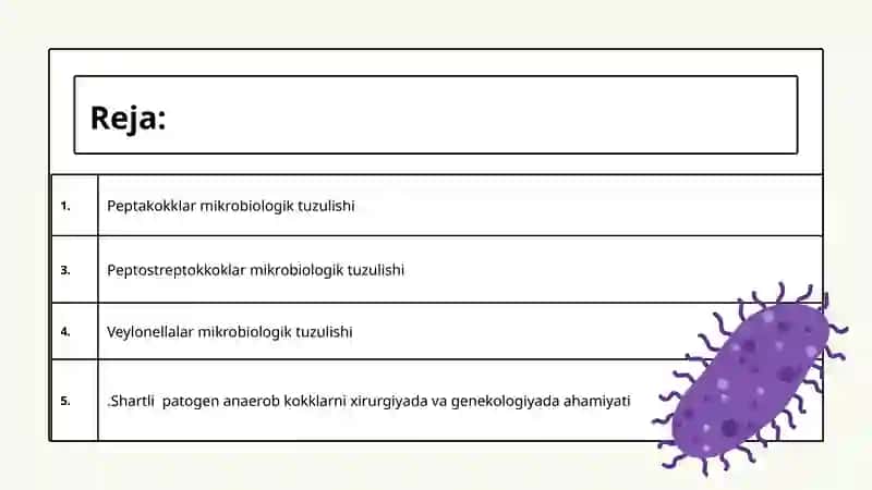 Shartli patogen anaerob kokklarni(peptokkoklar,peptostreptokkoklar,veylonellalar)xirurgik va ginekologik kasaliklaridagi axamiyati 2