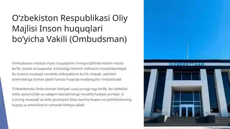 Ombudsman instituti 2