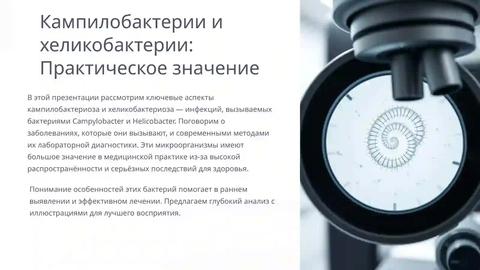Кампилобактерии и хеликобактерии: Практическое значение 2