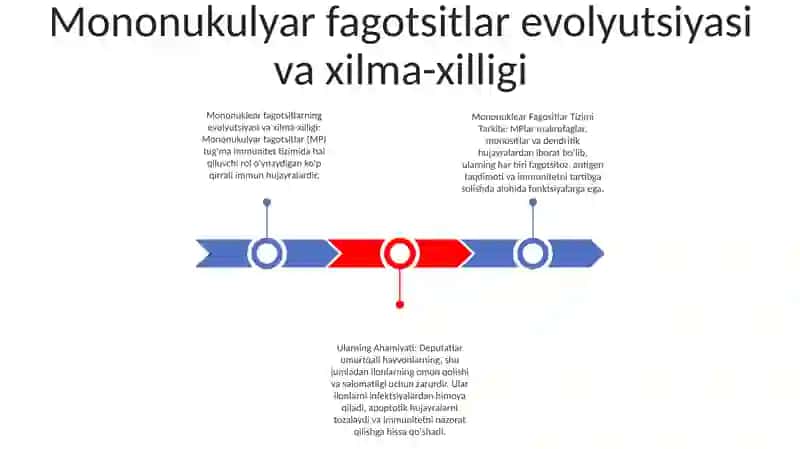 Mononuklear Fagositlar Tizimi Tarkibi 2