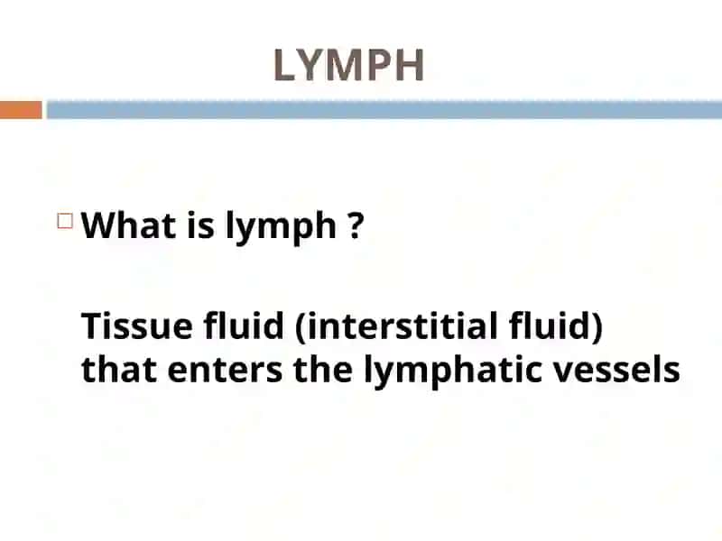 LYMPHATIC SYSTEM 2