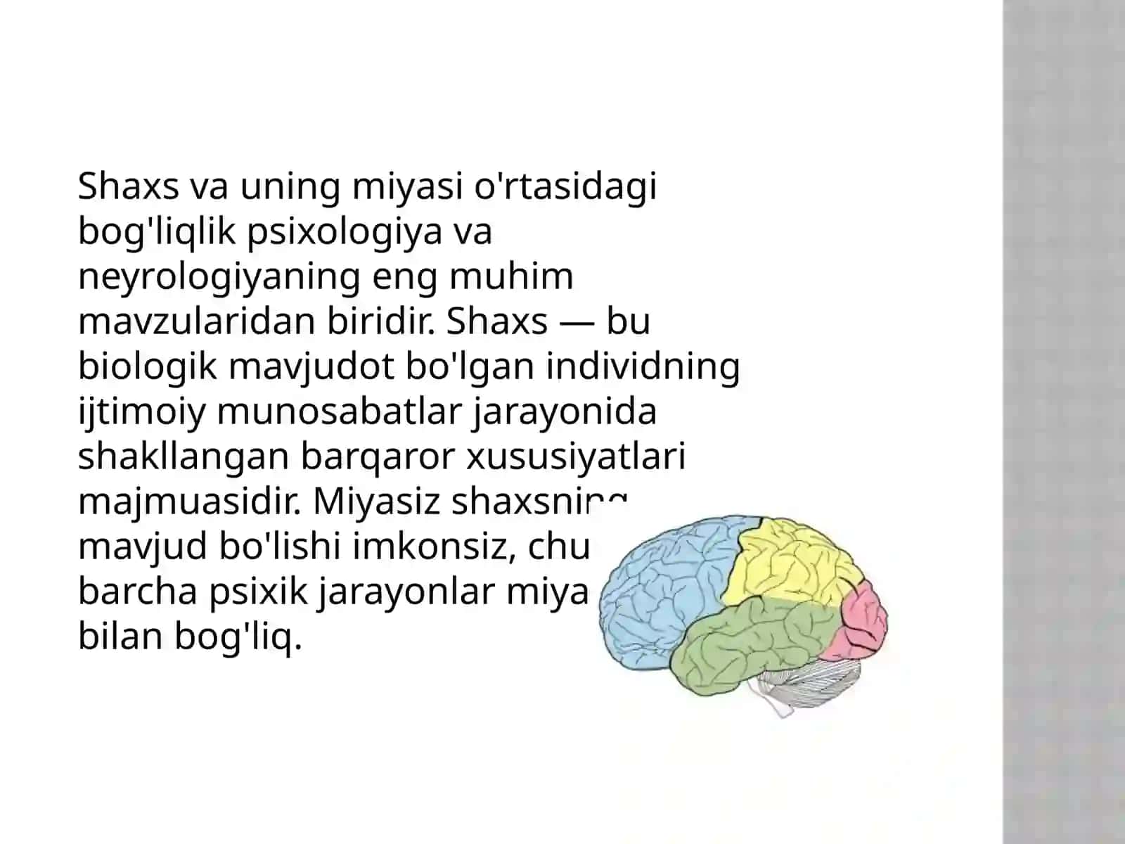 Shaxs va uning miyasi 2