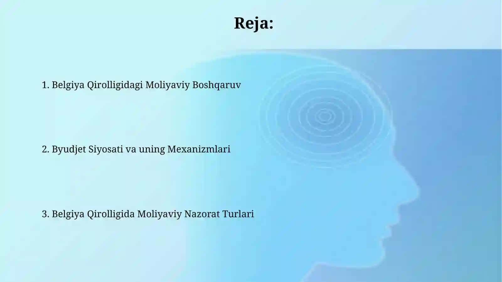 Belgiya Qirolligidagi Moliyaviy Boshqaruv 2