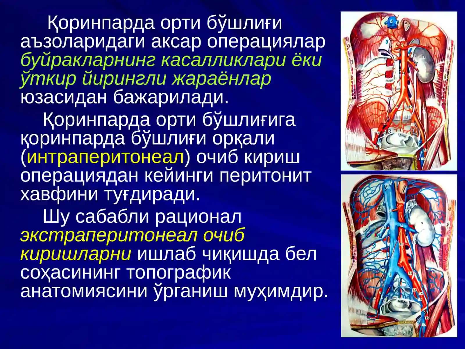 БЕЛСОҲАСИ ВА ҚОРИНПАРДА ОРТИ БЎШЛИҒИНИНГ ЖАРРОҲЛИК АНАТОМИЯСИ.БУЙРАК ВА СИЙДИК ЙЎЛЛАРИДАОПЕРАЦИЯЛАР 2