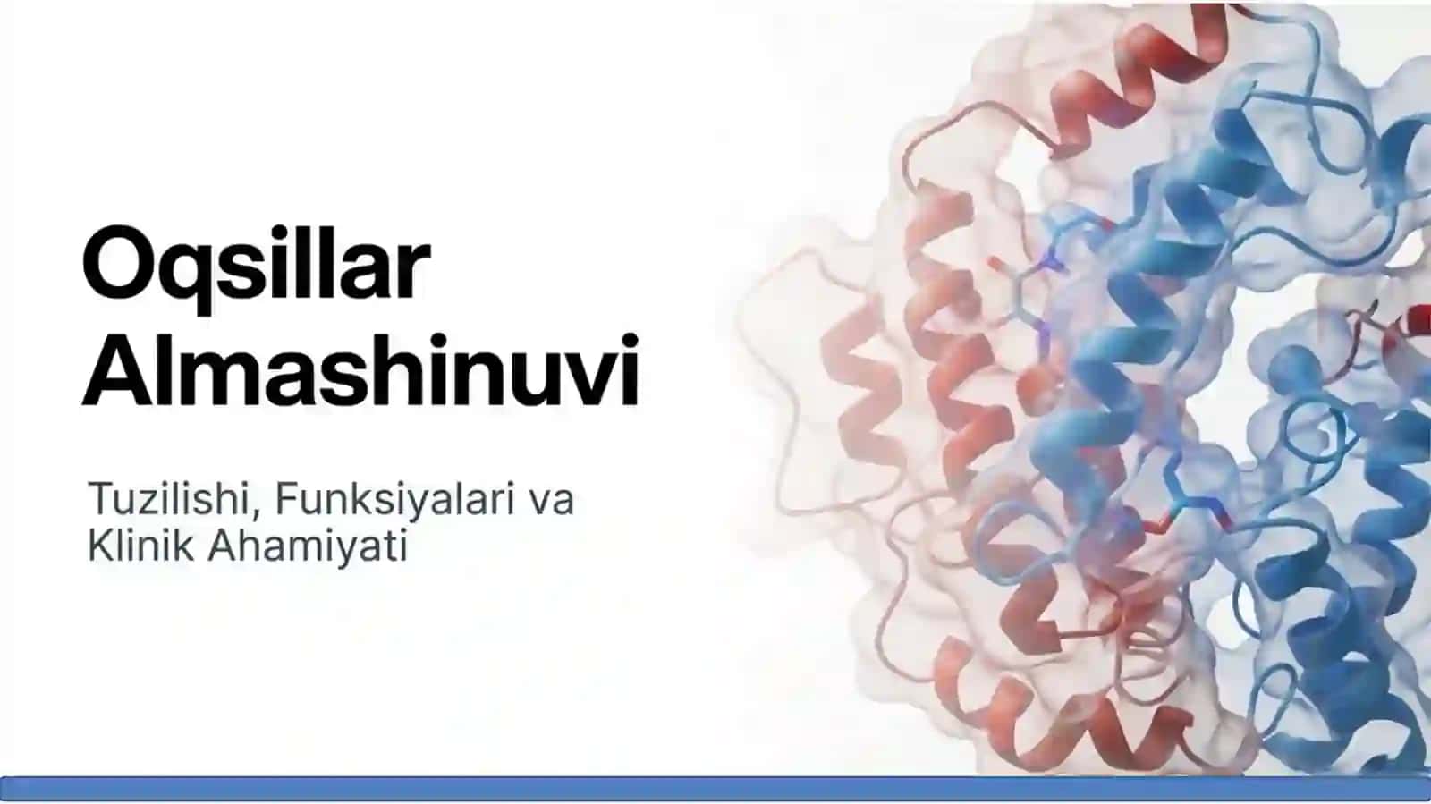 Oqsillar hazmlanishi va aminokislotalar so‘rilishi. 2