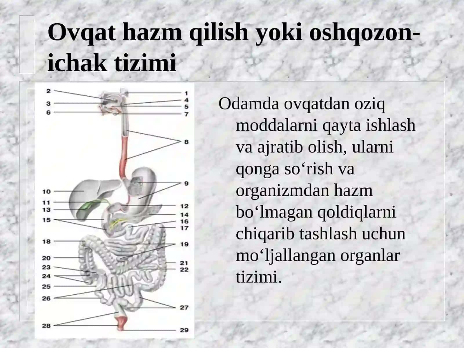 Oshqozon-ichak trakti patologiyalari 2