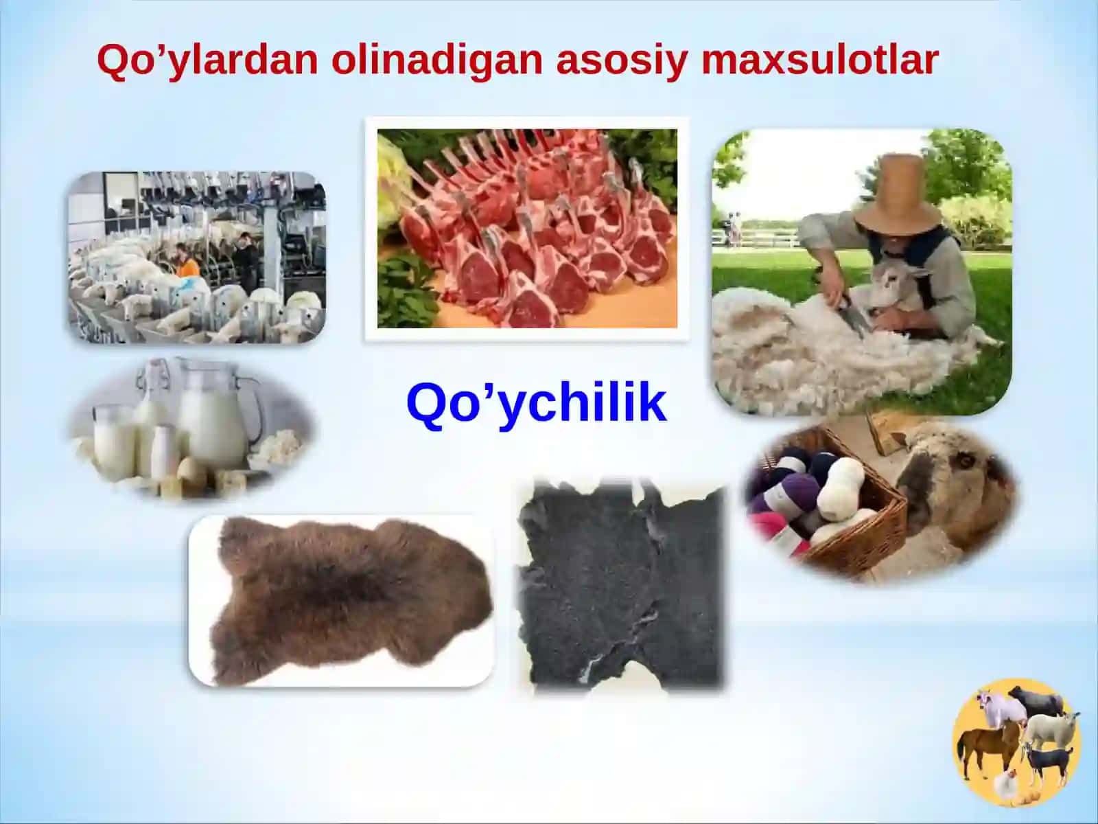 QO’YLAR MAHSULDORLIGI VA QO’YCHILIK MAHSULOTLARINI ISHLAB CHIQARISH TEXNOLOGIYASI 2