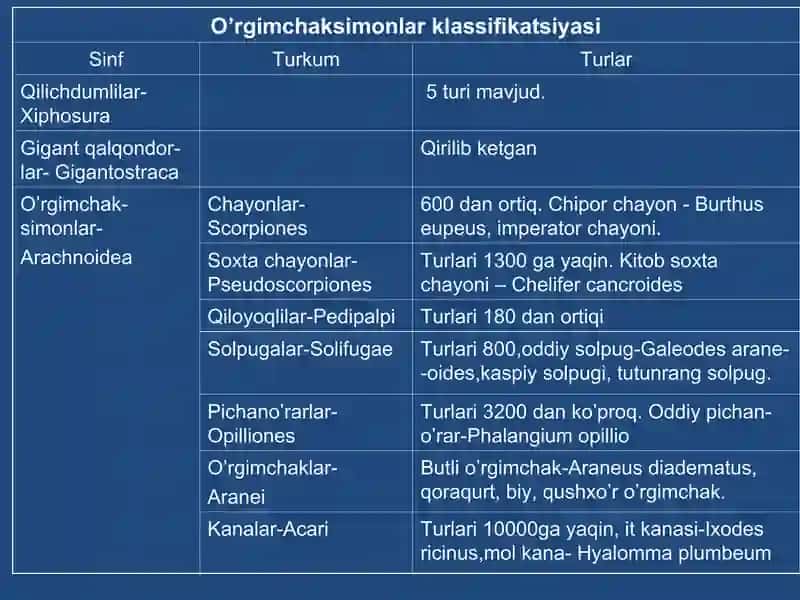 O’rgimchaksimonlar sistematikasi 2