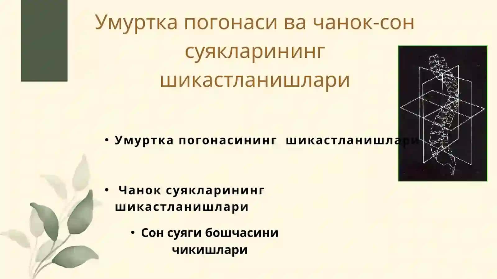 Kattalar va bolalarda umurtqa pog’`onasi shikastlanishlari. Chanoq suyaklarini sinishi.Son suyagini shikastlanishlari 2