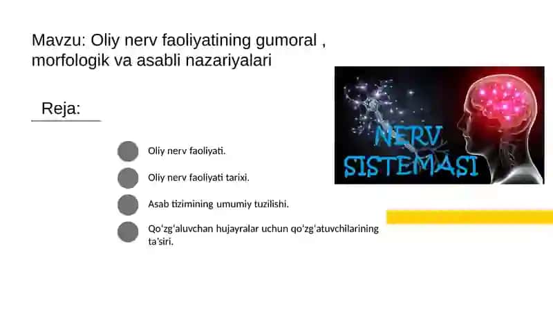 Oliy nerv faoliyatining gumoral , morfologik va asabli nazariyalari​​ 2