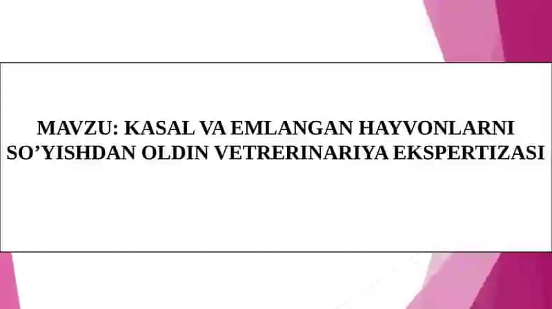 VETERINARIYA EKSPERTIZASI MAVZUSI 2